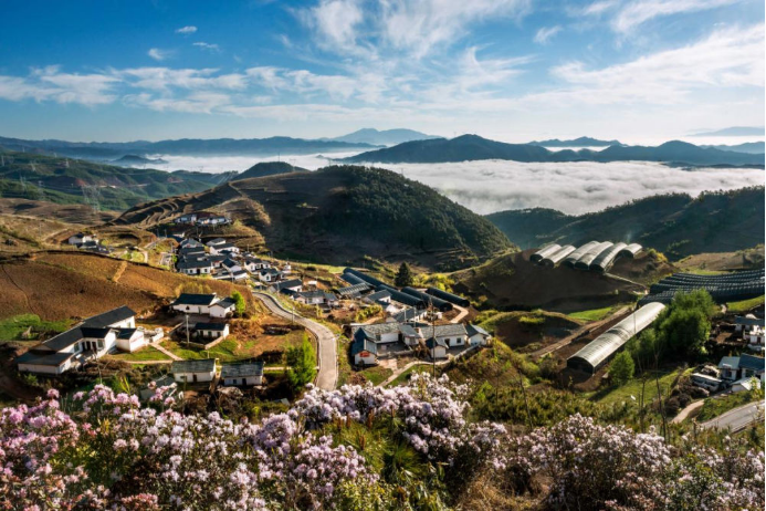 10 尊龙凯时·(中国)网站-AG旗舰厅电气集团科技兴农 助力凉山火普村打造数字乡村804.png